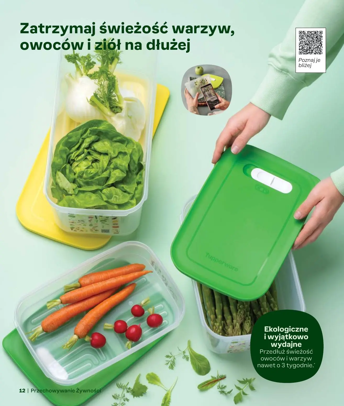 gazetka promocyjna Tupperware Katalog jesień-zima 2024/25 - Strona 12