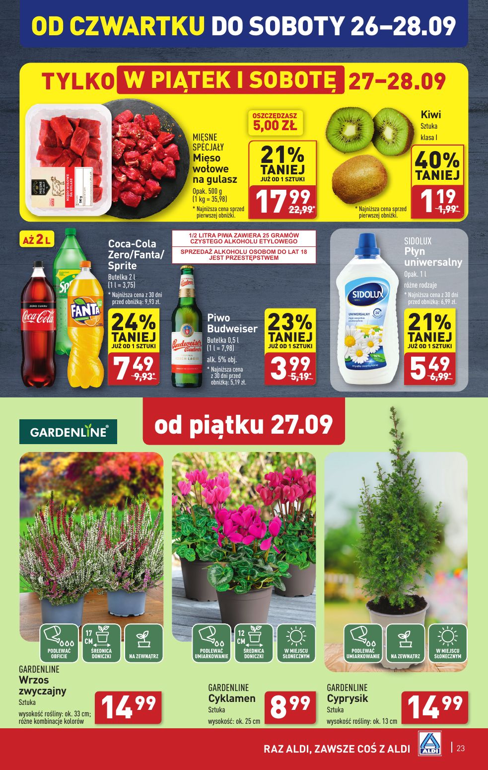 gazetka promocyjna ALDI Raz ALDI, zawsze coś z ALDI - Strona 23