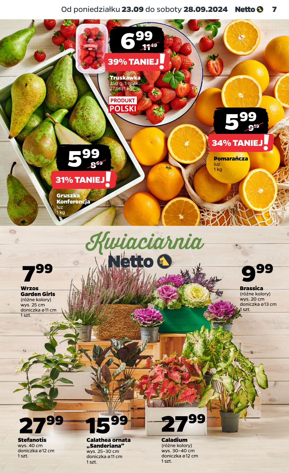 gazetka promocyjna NETTO Dyskontowe Asy - Strona 7