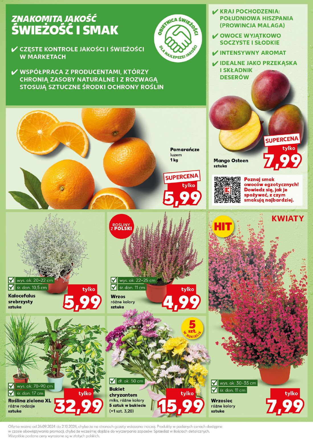 gazetka promocyjna Kaufland Mocny start - Strona 13