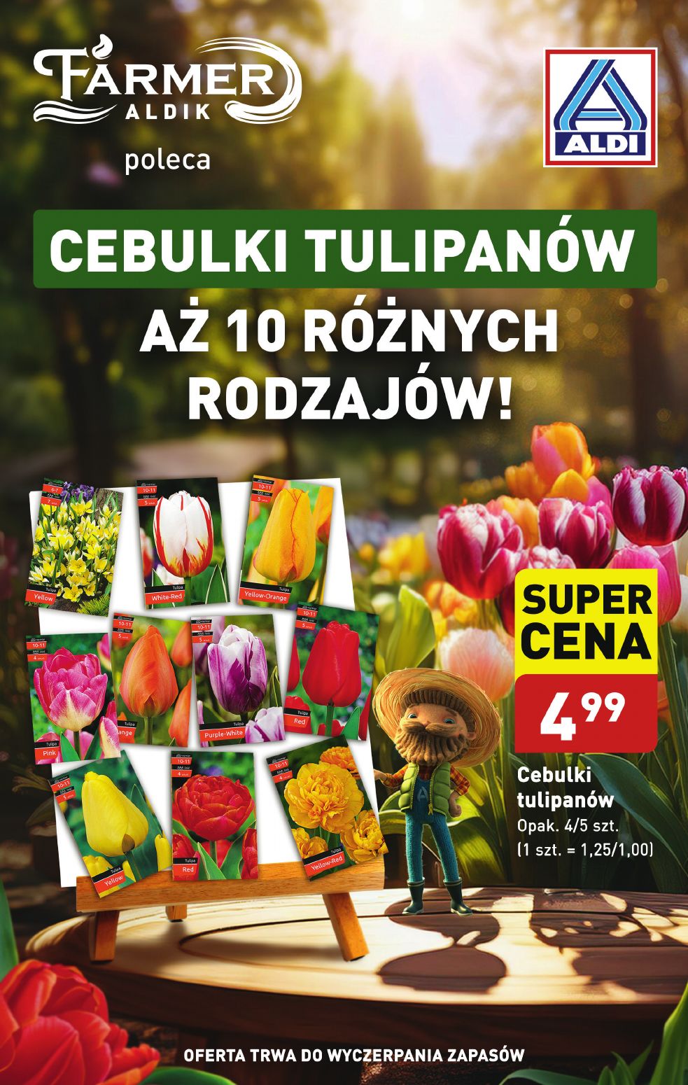 gazetka promocyjna ALDI Raz ALDI, zawsze coś z ALDI - Strona 41