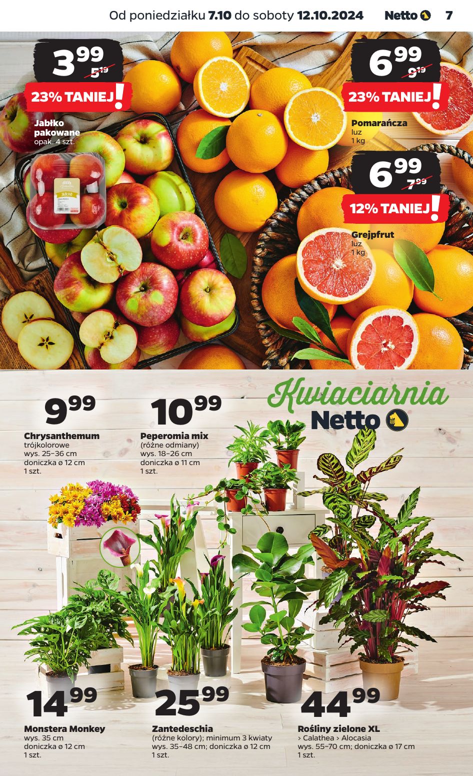 gazetka promocyjna NETTO Dyskontowe Asy - Strona 7