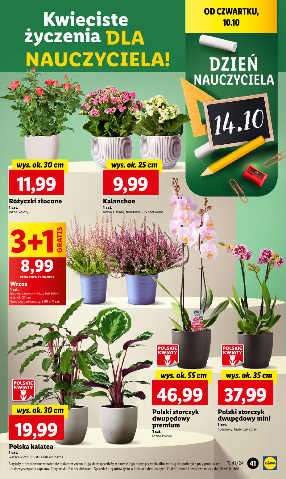 gazetka promocyjna LIDL Od czwartku - Strona 47