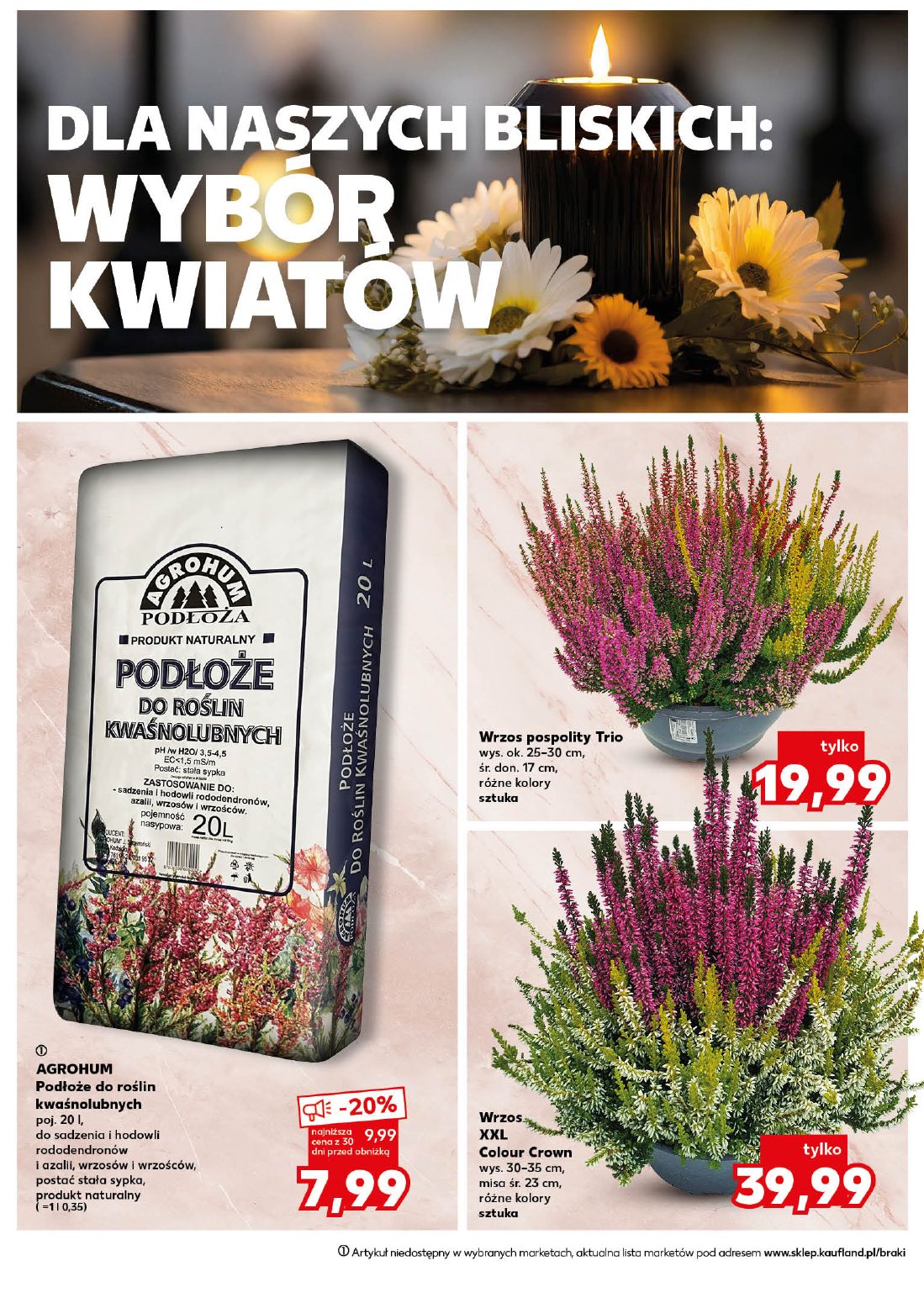 gazetka promocyjna Kaufland Znicze, wkłady, dekoracje - Strona 10