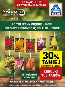 Gazetka promocyjna ALDI, ważna od 2024-10-11 do .