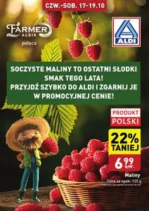 Gazetka promocyjna ALDI, ważna od 17.10.2024 do 19.10.2024.