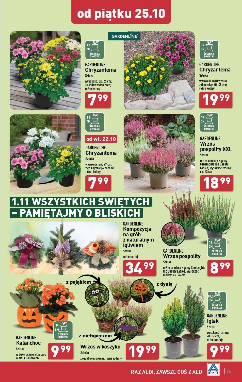 gazetka promocyjna ALDI Jakość w super cenach - Strona 25