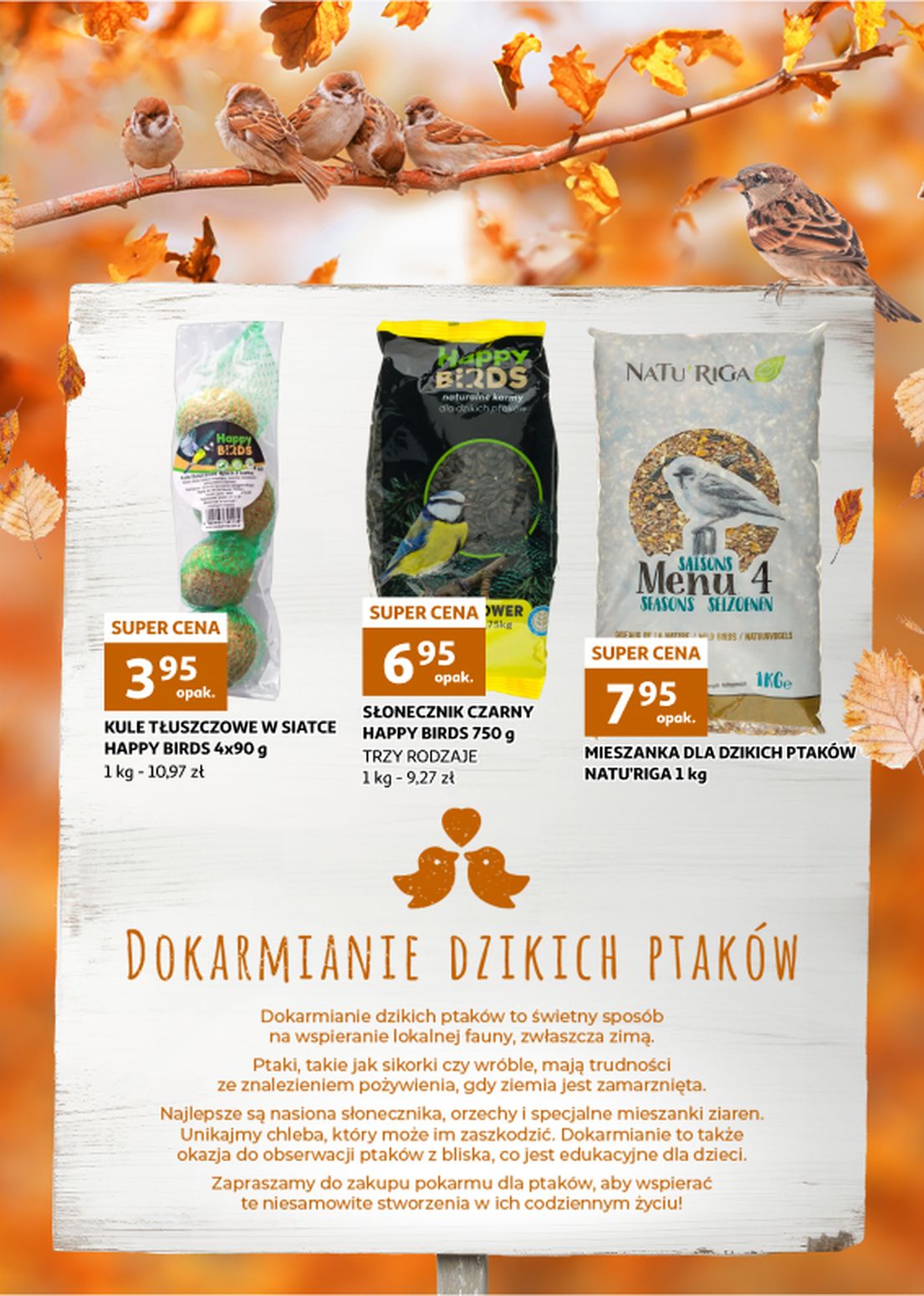 gazetka promocyjna Auchan Zielona Góra - Strona 14