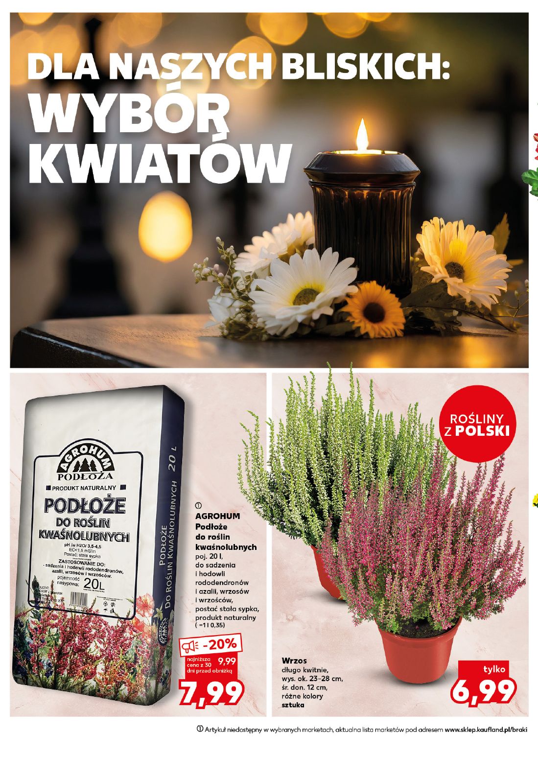 gazetka promocyjna Kaufland Pamiętaj, dbaj - Strona 10