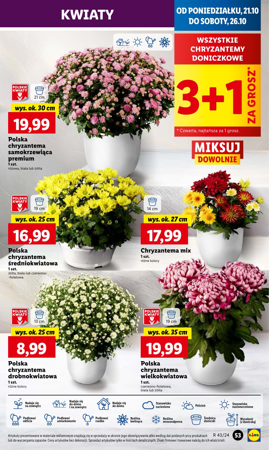 gazetka promocyjna LIDL Od poniedziałku - Strona 59