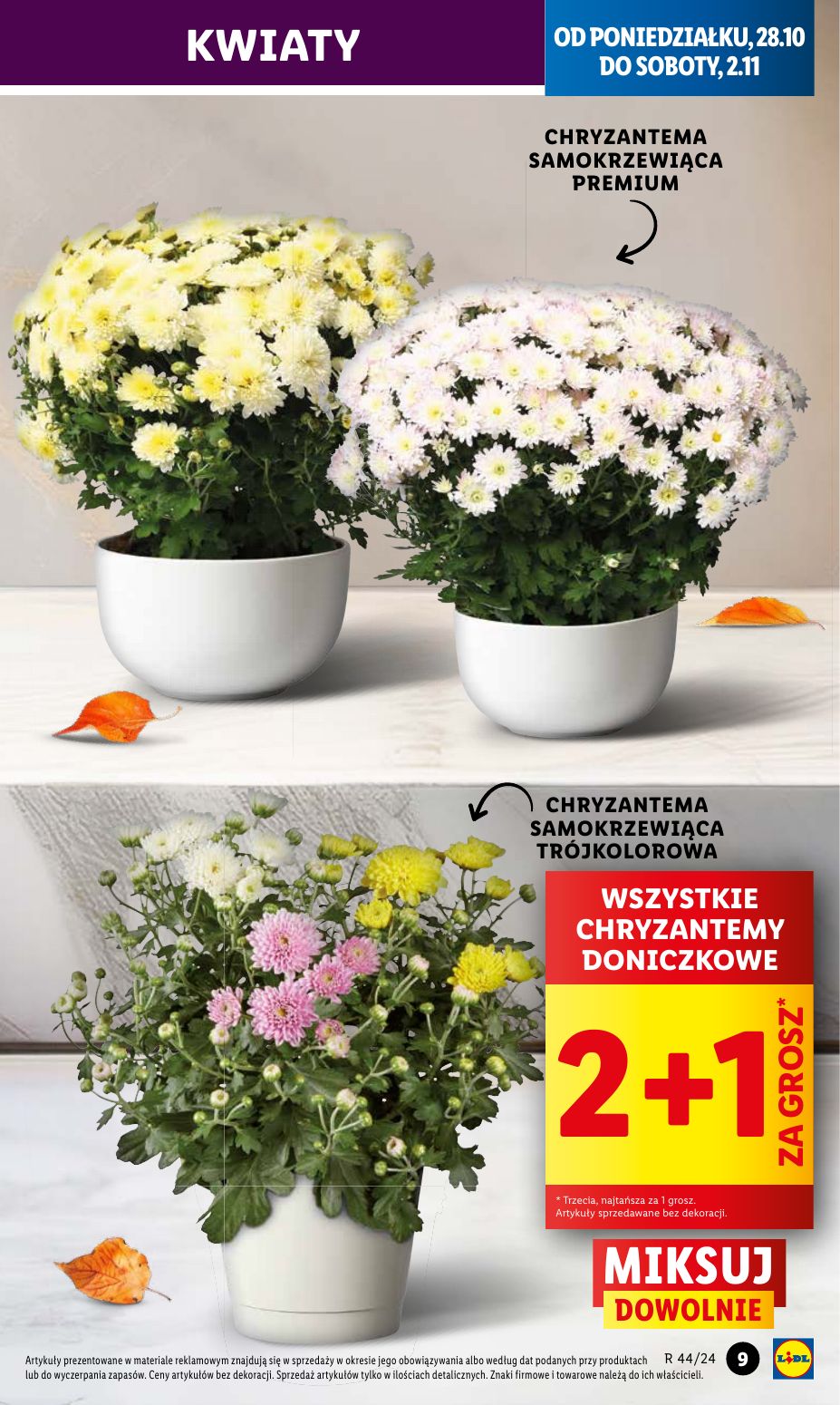 gazetka promocyjna LIDL Od poniedziałku - Strona 9