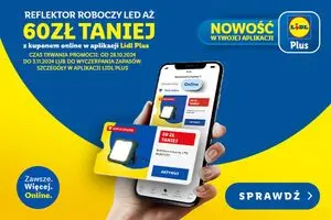 Gazetka promocyjna LIDL, ważna od 2024-10-28 do 2024-11-03.