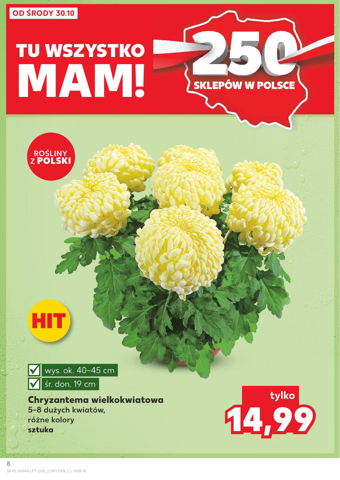 gazetka promocyjna Kaufland Tu wszystko mam! - Strona 8