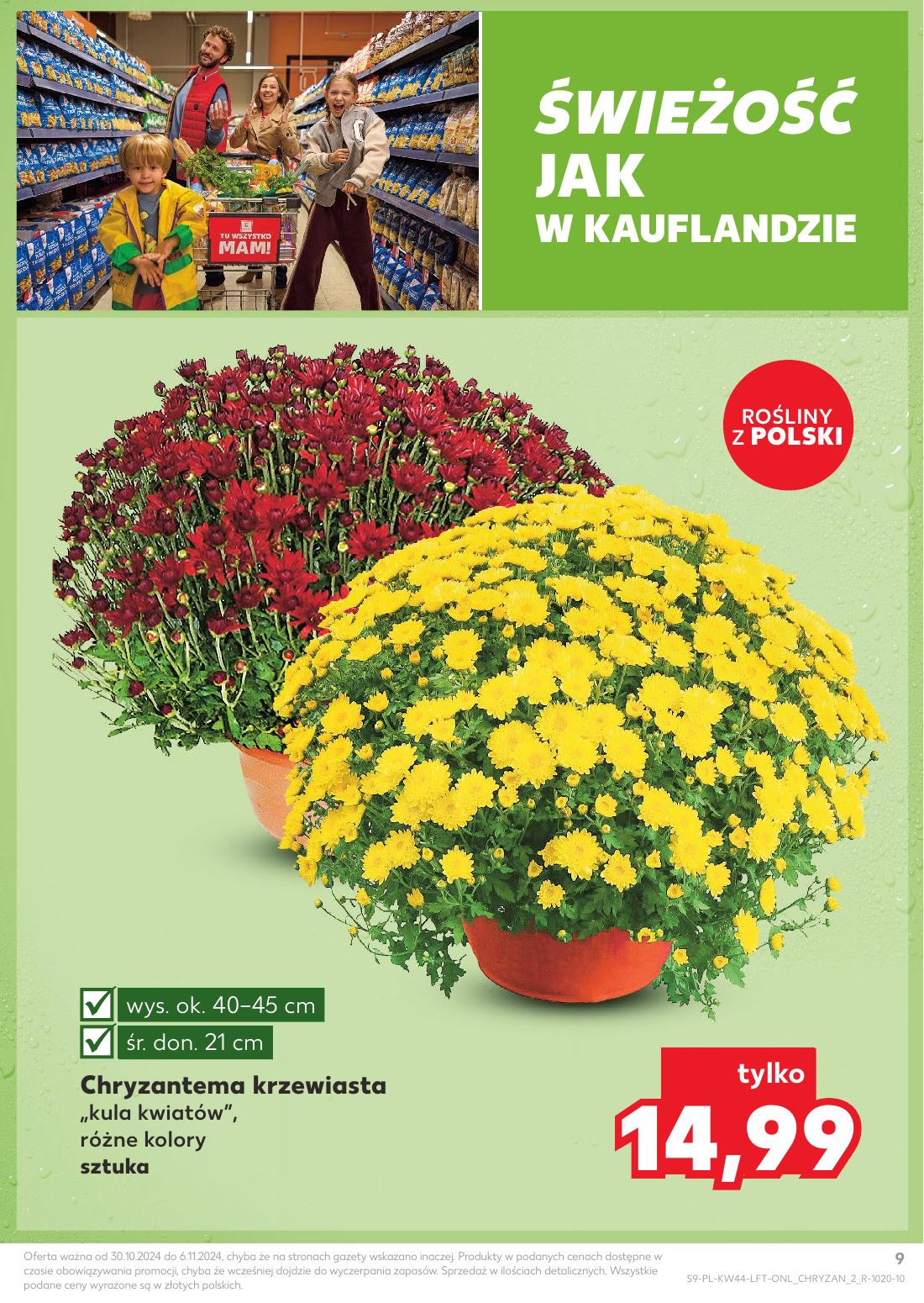 gazetka promocyjna Kaufland Tu wszystko mam! - Strona 9