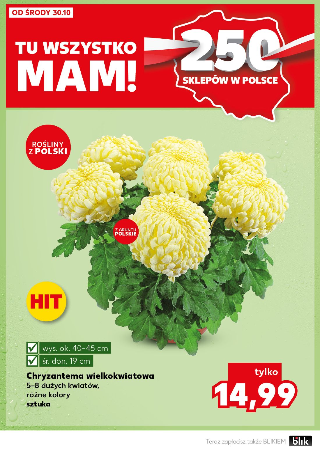 gazetka promocyjna Kaufland Mocny start - Strona 6