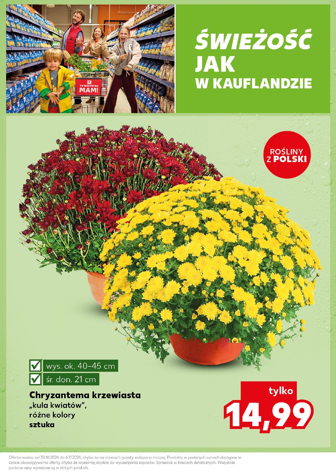 gazetka promocyjna Kaufland Mocny start - Strona 7