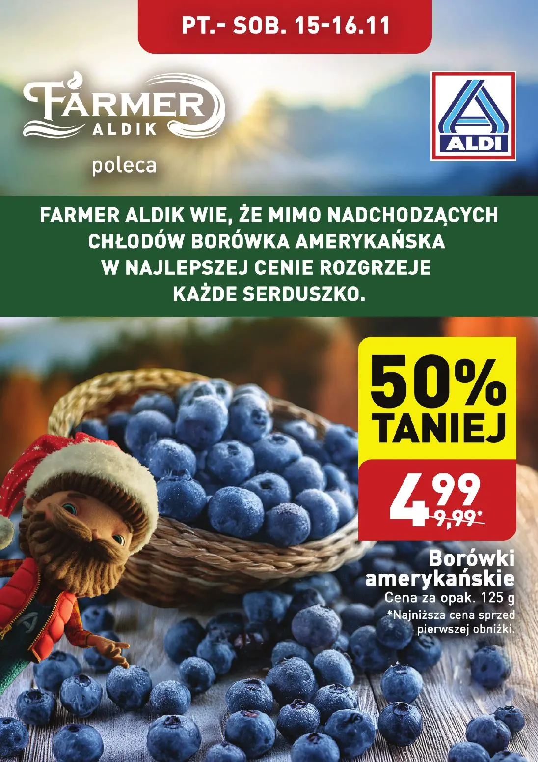 gazetka promocyjna ALDI Farmer Aldik poleca borówki amerykańskie - Strona 1