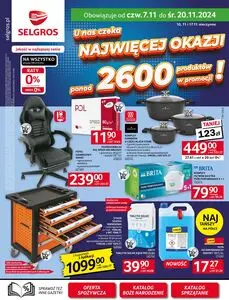 Gazetka promocyjna SELGROS, ważna od 2024-11-07 do 2024-11-20.