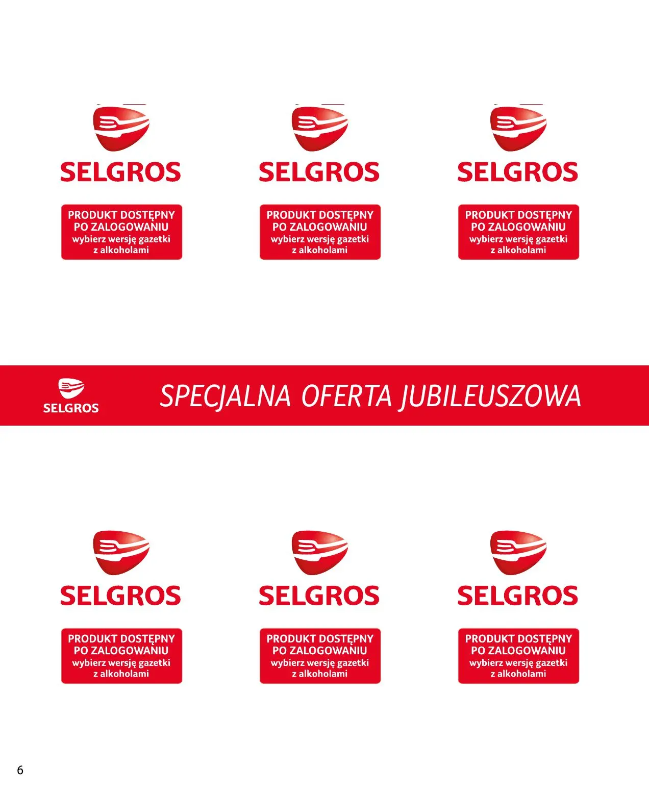 gazetka promocyjna SELGROS Specjalna Oferta Jubileuszowa - Strona 6