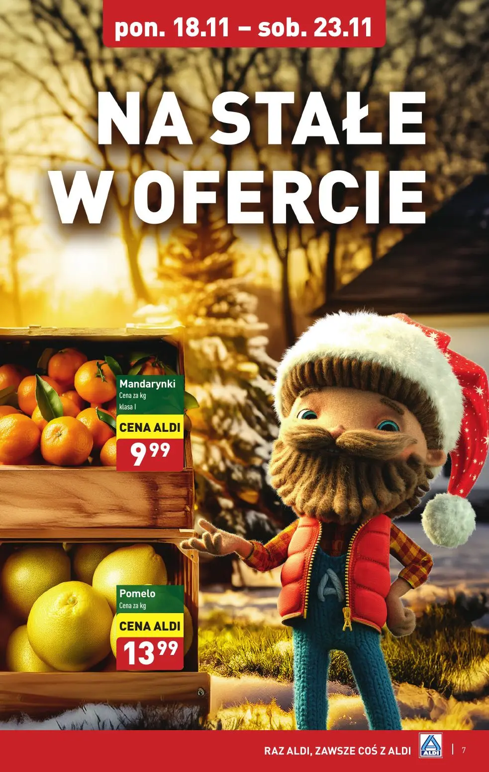 gazetka promocyjna ALDI Farmer Aldik poleca - Strona 7