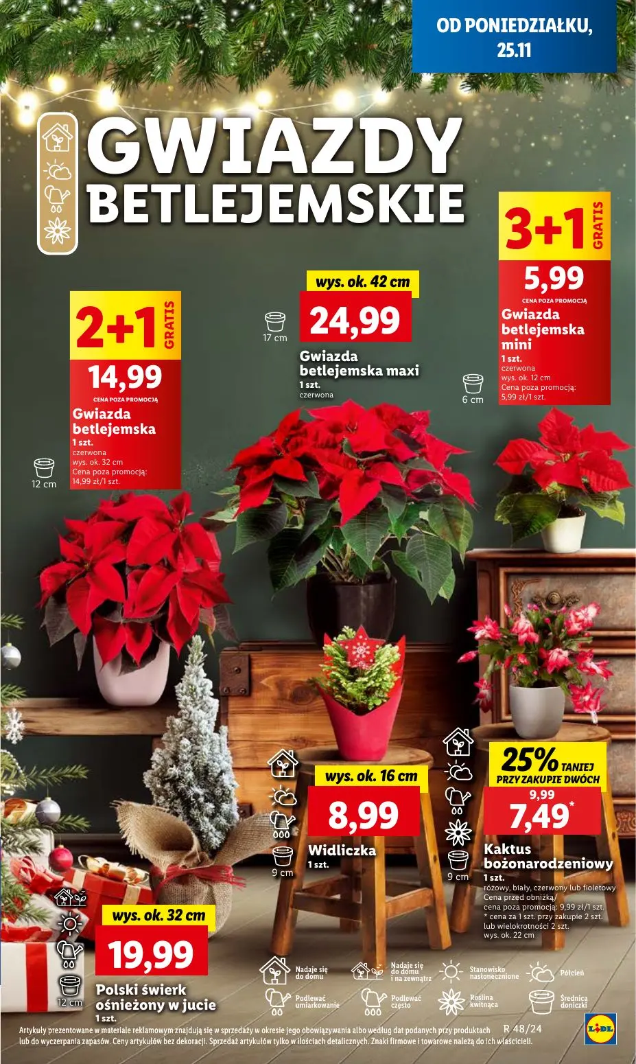 gazetka promocyjna LIDL Od poniedziałku - Strona 67