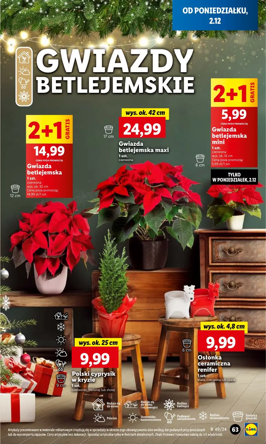 gazetka promocyjna LIDL Od poniedziałku - Strona 67