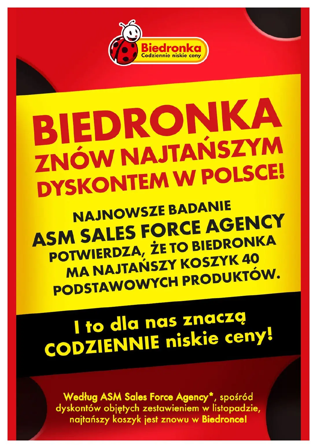 gazetka promocyjna Biedronka Biedronkowe oszczędności - Strona 13