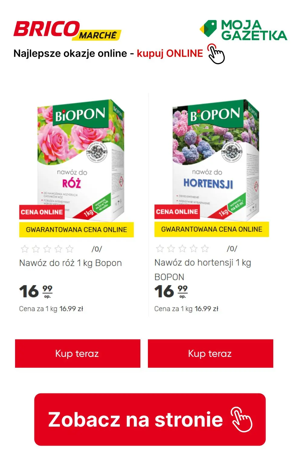 gazetka promocyjna BRICOMARCHE Najlepsze okazje! Kupuj online! - Strona 31