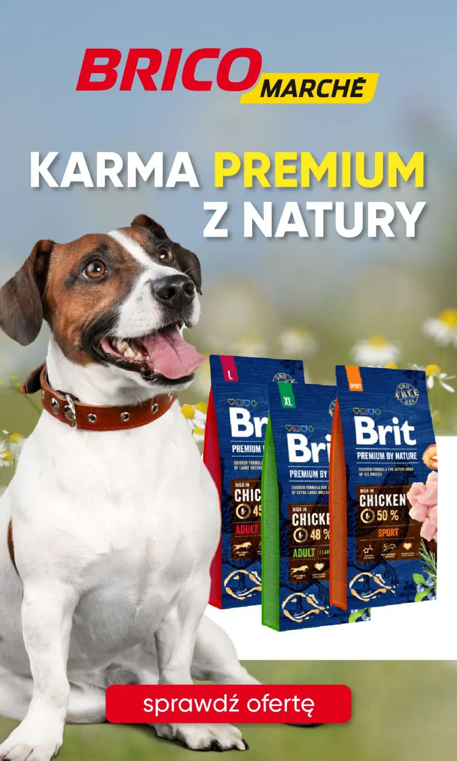 gazetka promocyjna BRICOMARCHE Karma PREMIUM w rewelacyjnej cenie! Sprawdź. - Strona 1