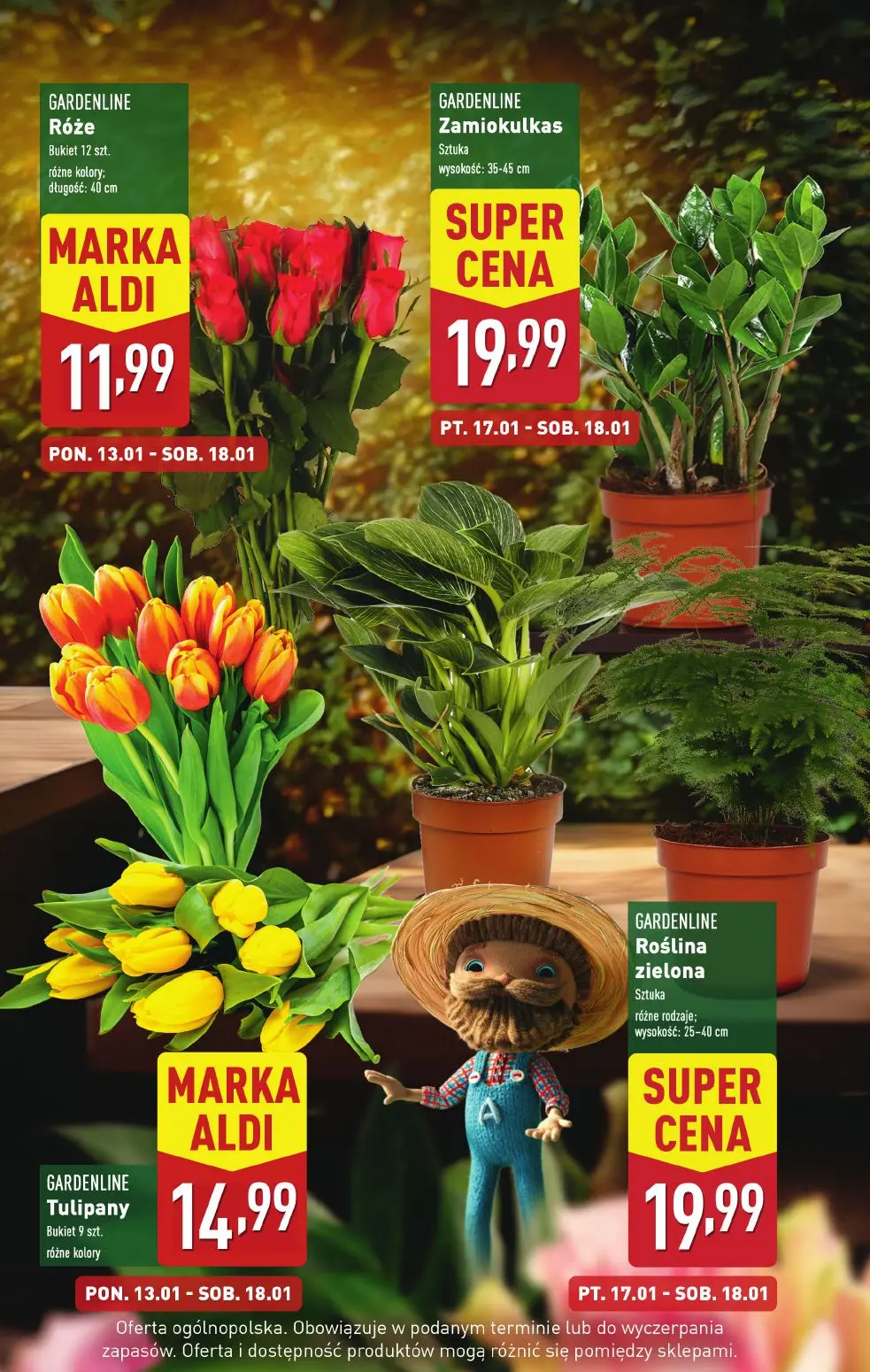 gazetka promocyjna ALDI  - Strona 5