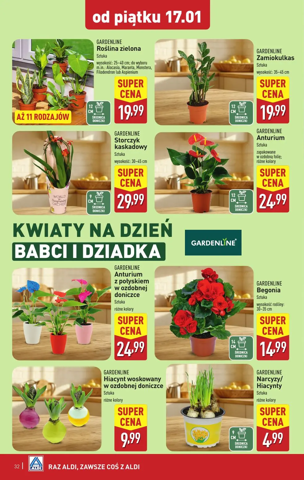 gazetka promocyjna ALDI  - Strona 32