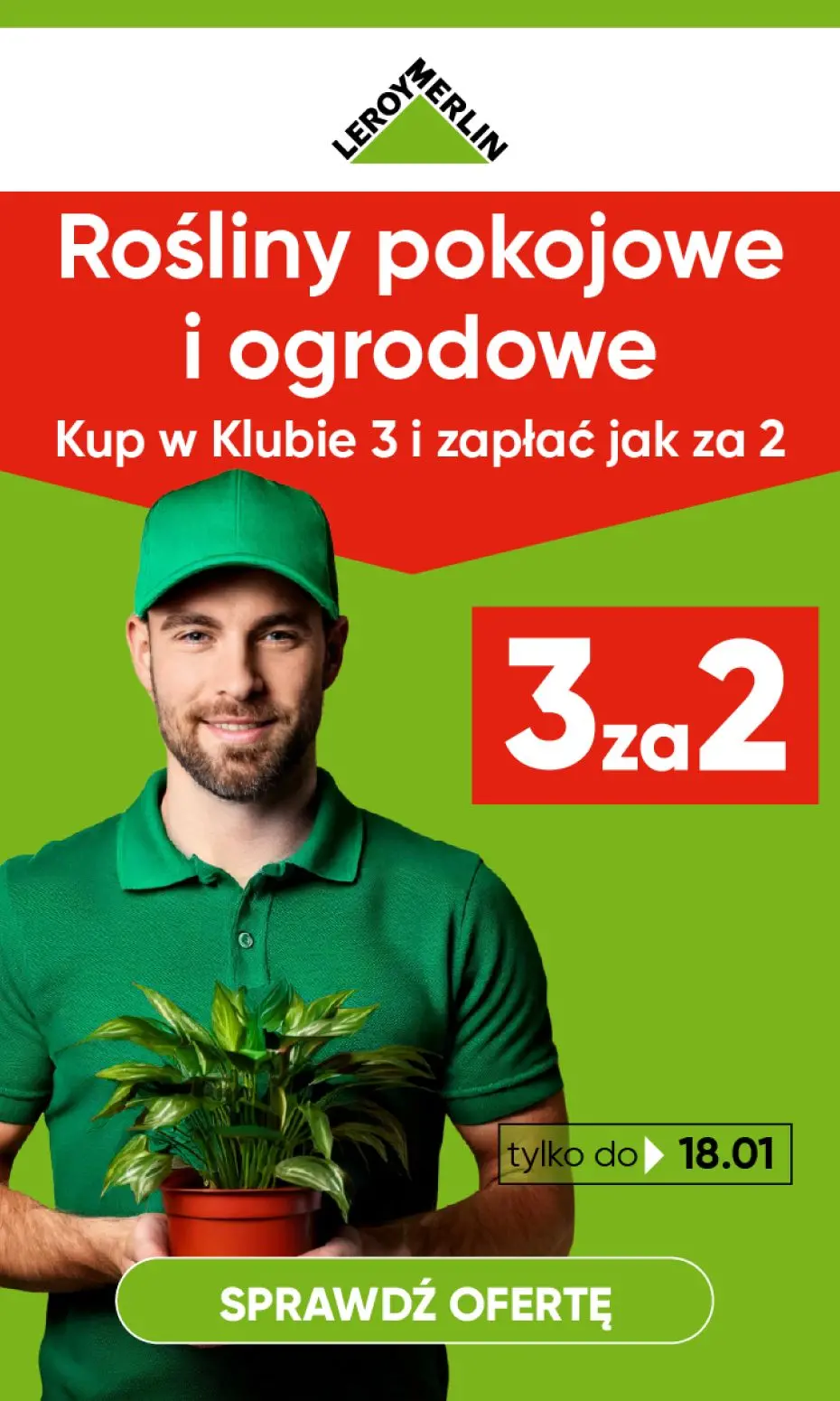 gazetka promocyjna Leroy Merlin Kup w Klubie 3 i zapłać jak za 2 - Rośliny ogrodowe i domowe! - Strona 1