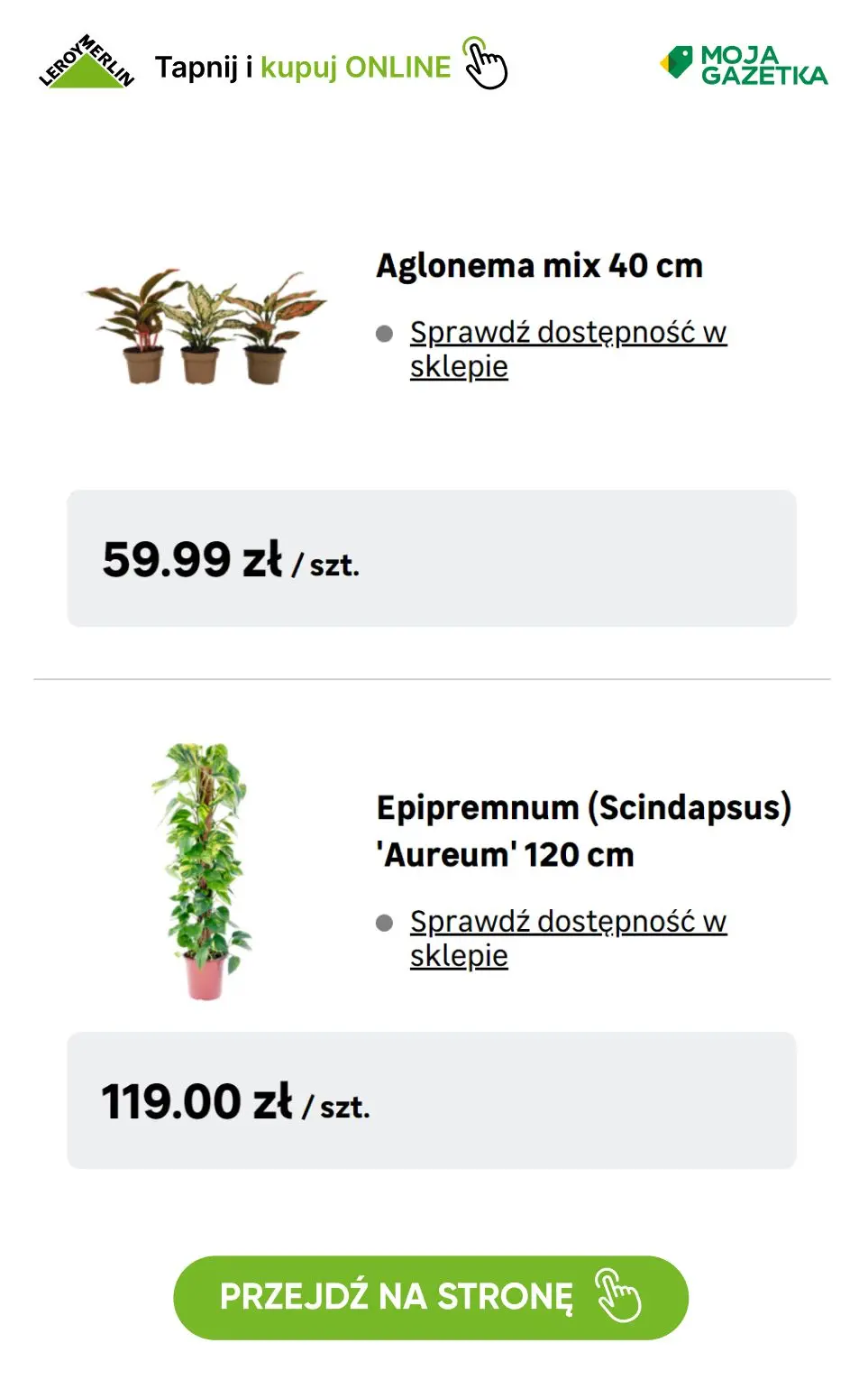 gazetka promocyjna Leroy Merlin Kup w Klubie 3 i zapłać jak za 2 - Rośliny ogrodowe i domowe! - Strona 13