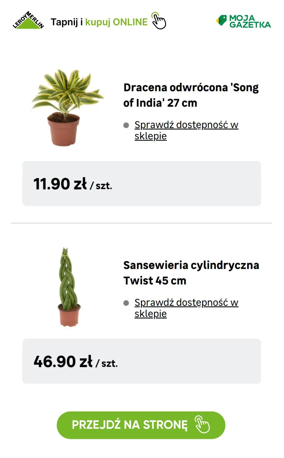 gazetka promocyjna Leroy Merlin Kup w Klubie 3 i zapłać jak za 2 - Rośliny ogrodowe i domowe! - Strona 31