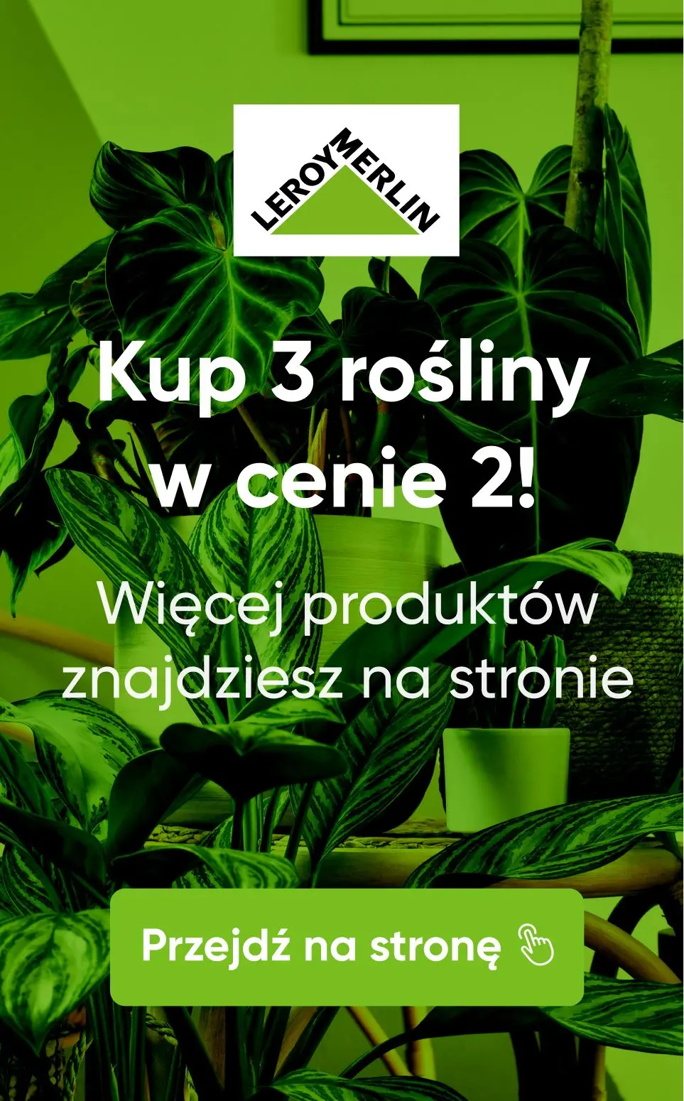 gazetka promocyjna Leroy Merlin Kup w Klubie 3 i zapłać jak za 2 - Rośliny ogrodowe i domowe! - Strona 51