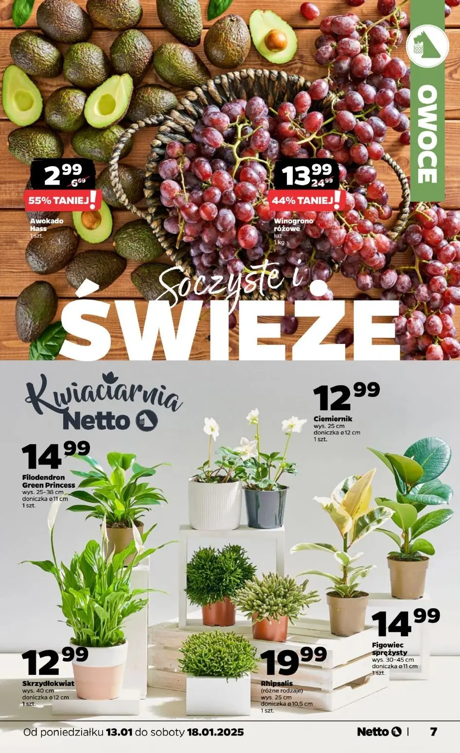 gazetka promocyjna NETTO Od poniedziałku - Strona 7