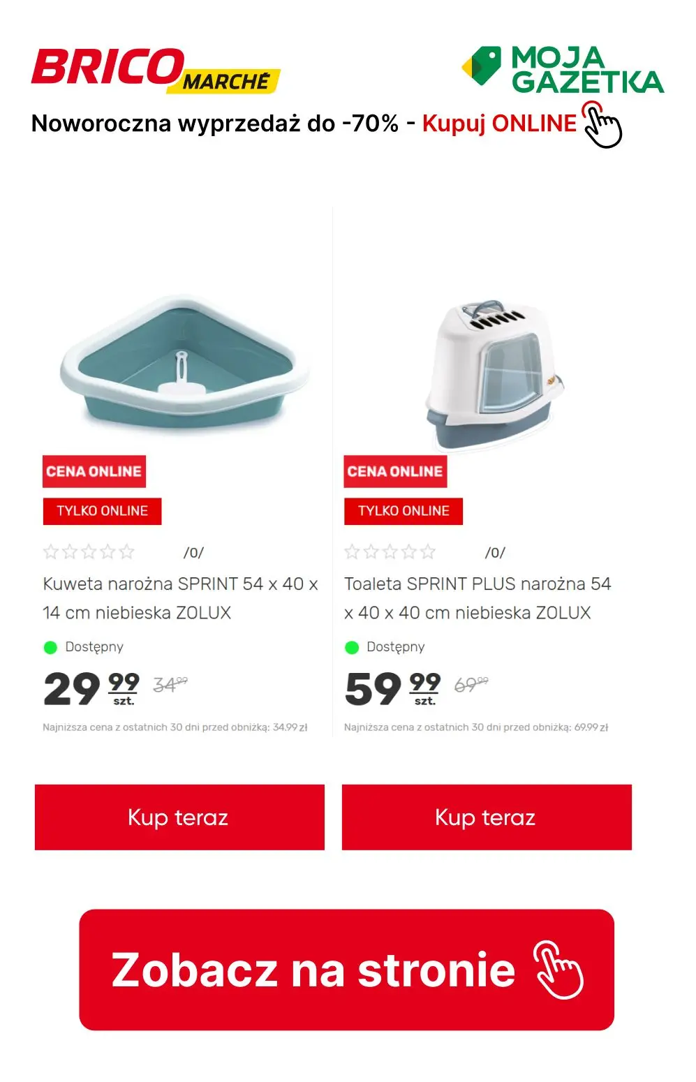 gazetka promocyjna BRICOMARCHE Noworoczna wyprzedaż do - 70%! - Strona 21