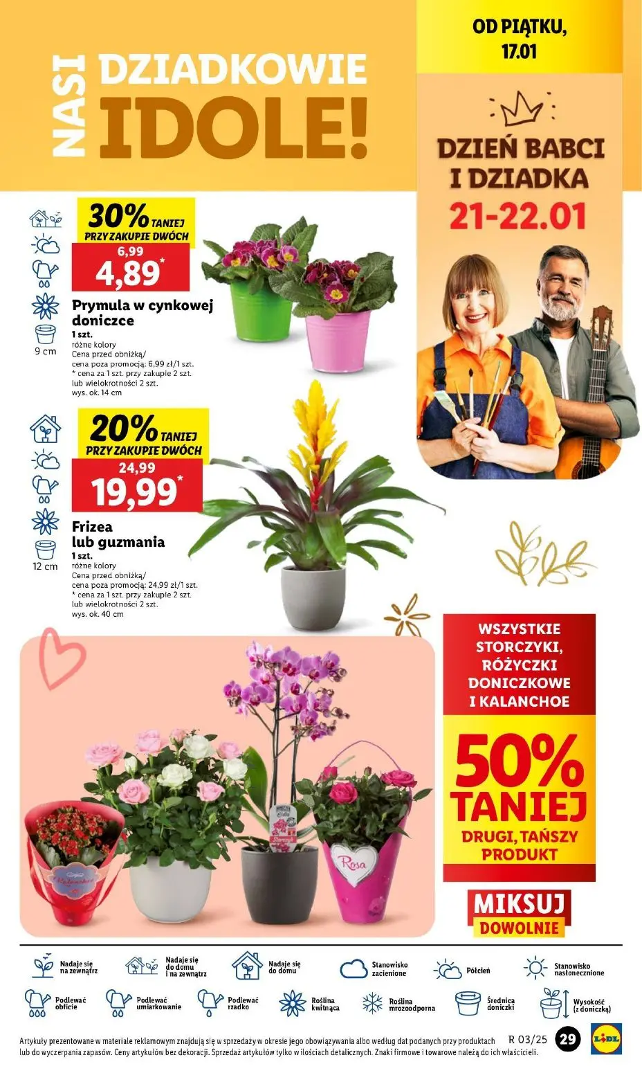 gazetka promocyjna LIDL Od czwartku - Strona 31