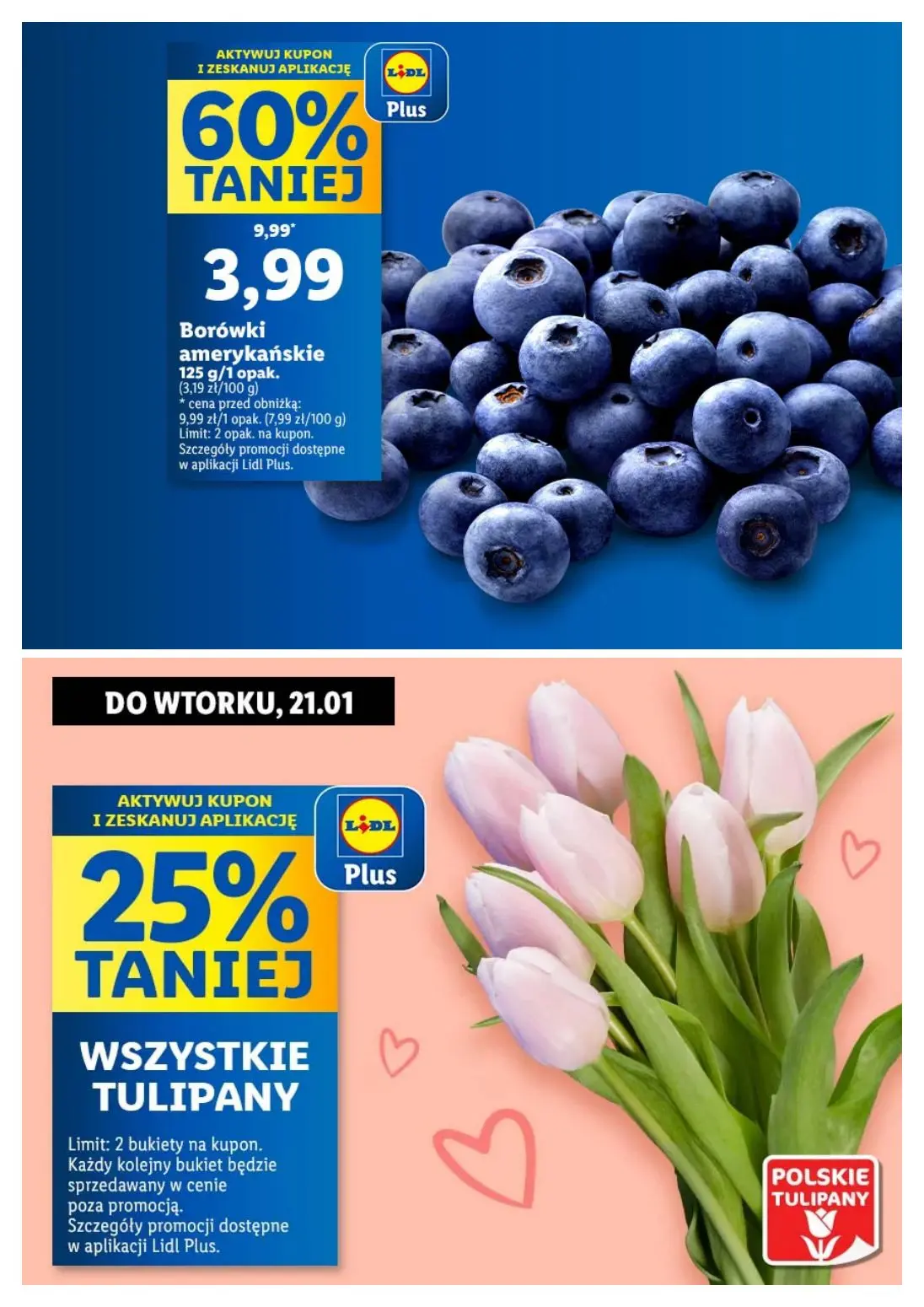 gazetka promocyjna LIDL Zakupy XXL robię w Lidlu - Strona 7