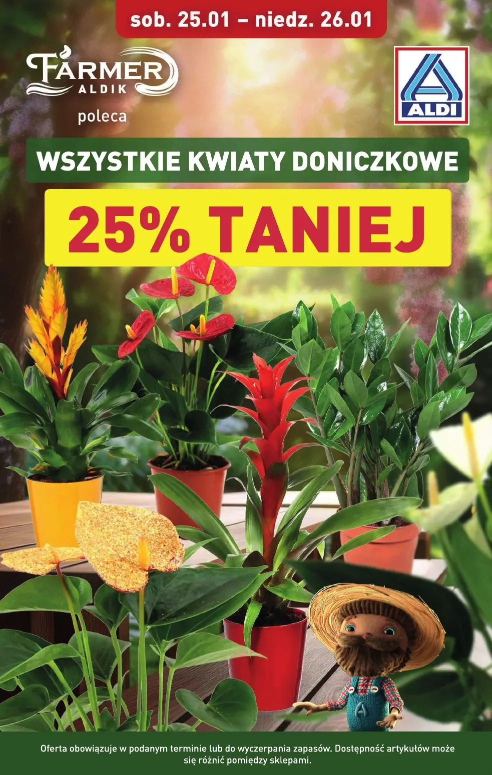 gazetka promocyjna ALDI  - Strona 5