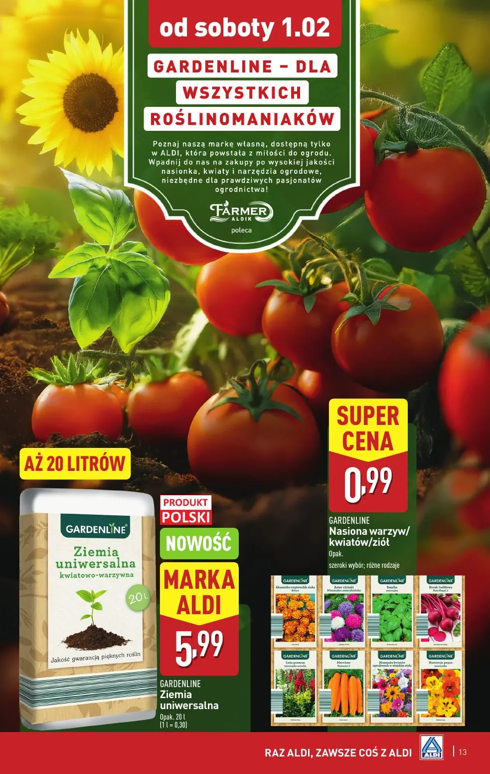 gazetka promocyjna ALDI  - Strona 13