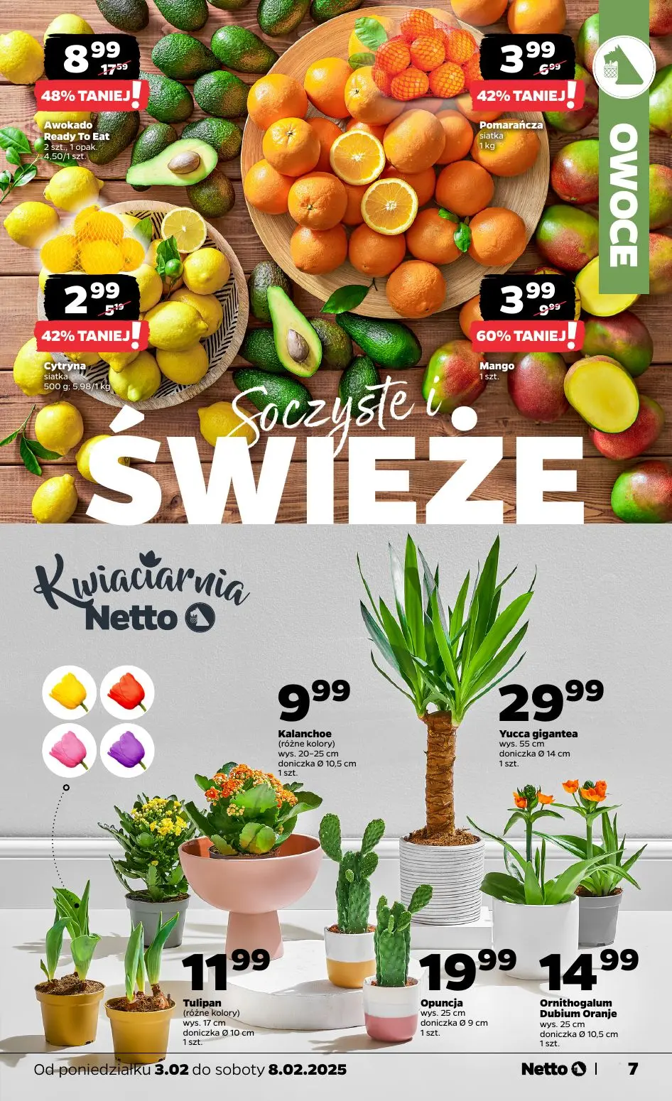 gazetka promocyjna NETTO  - Strona 7