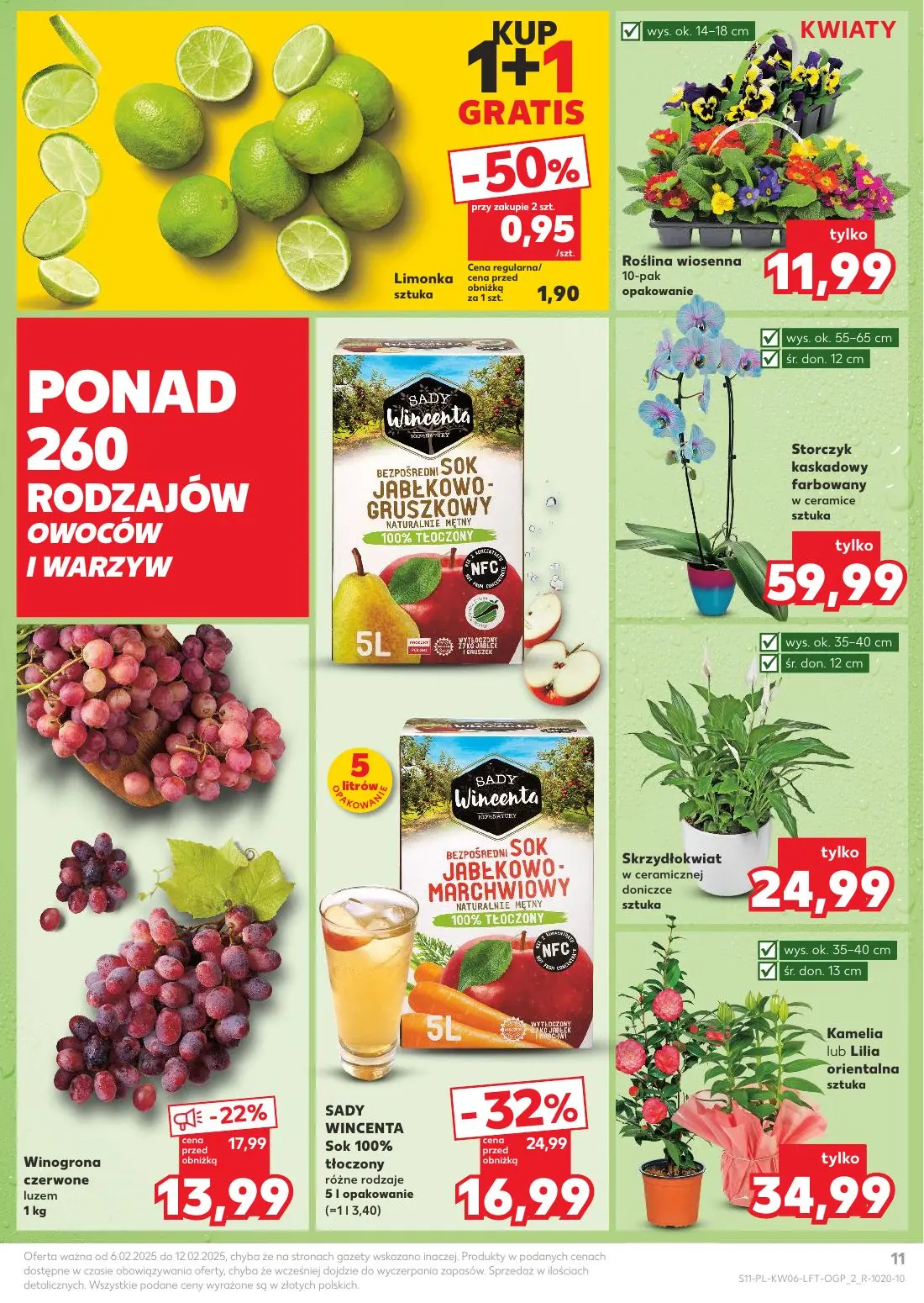 gazetka promocyjna Kaufland Urodzinowe TOP OFERTY! - Strona 11