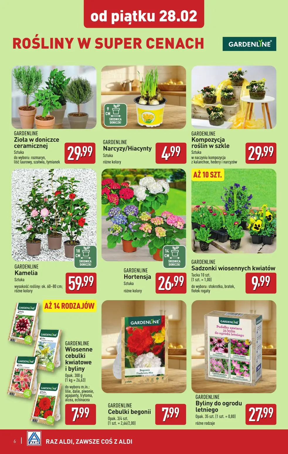 gazetka promocyjna ALDI  - Strona 6