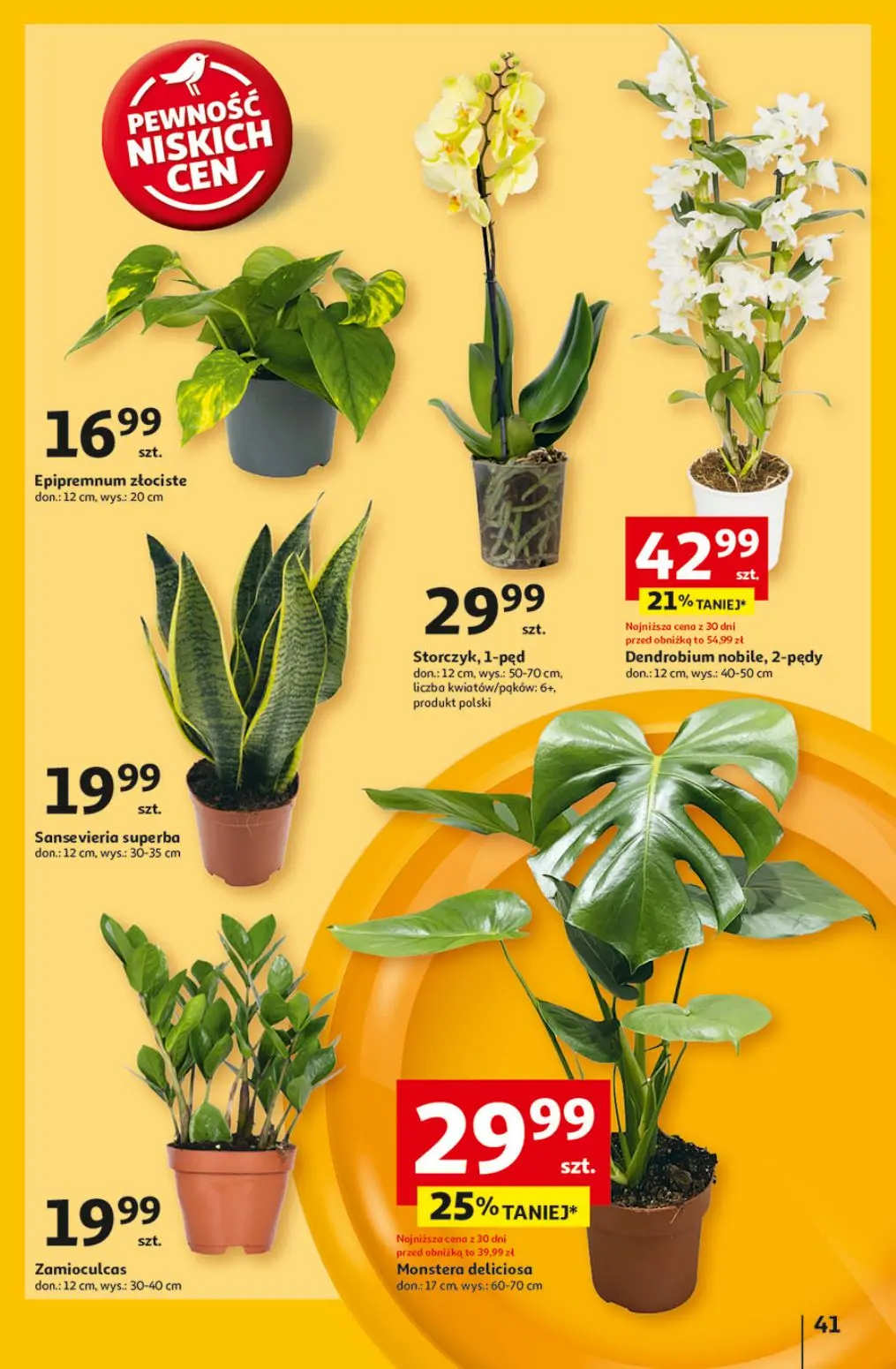 gazetka promocyjna Auchan Pewność niskuch cen - Strona 49