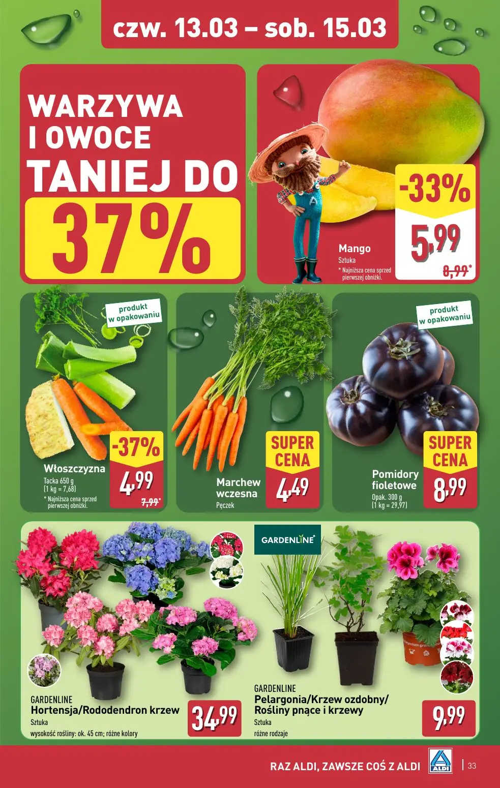 gazetka promocyjna ALDI  - Strona 33