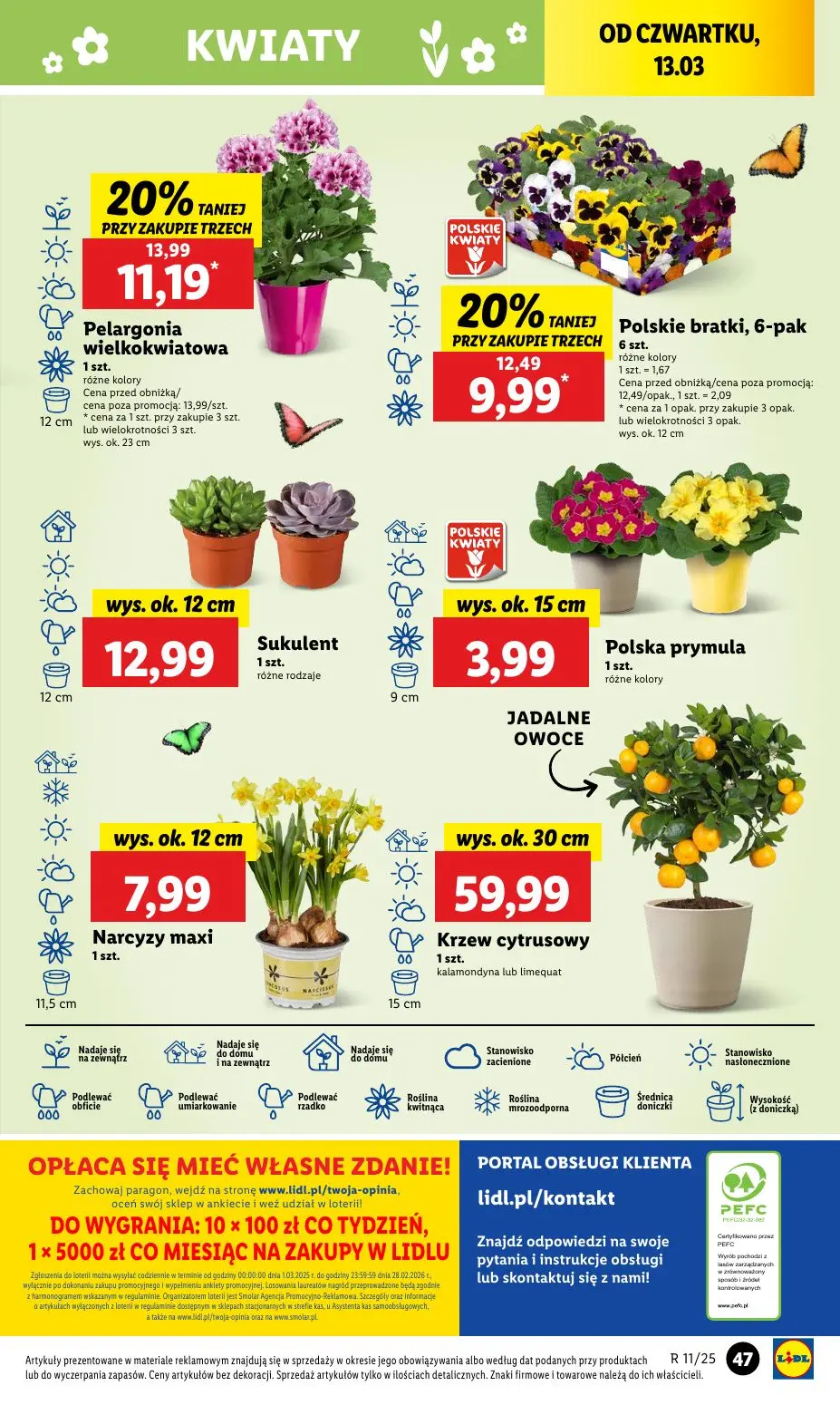 gazetka promocyjna LIDL Od czwartku - Strona 55