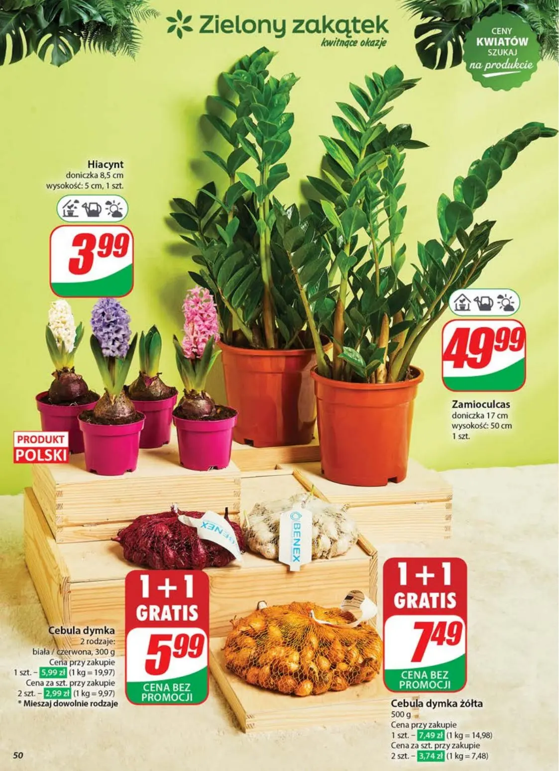 gazetka promocyjna dino  - Strona 50