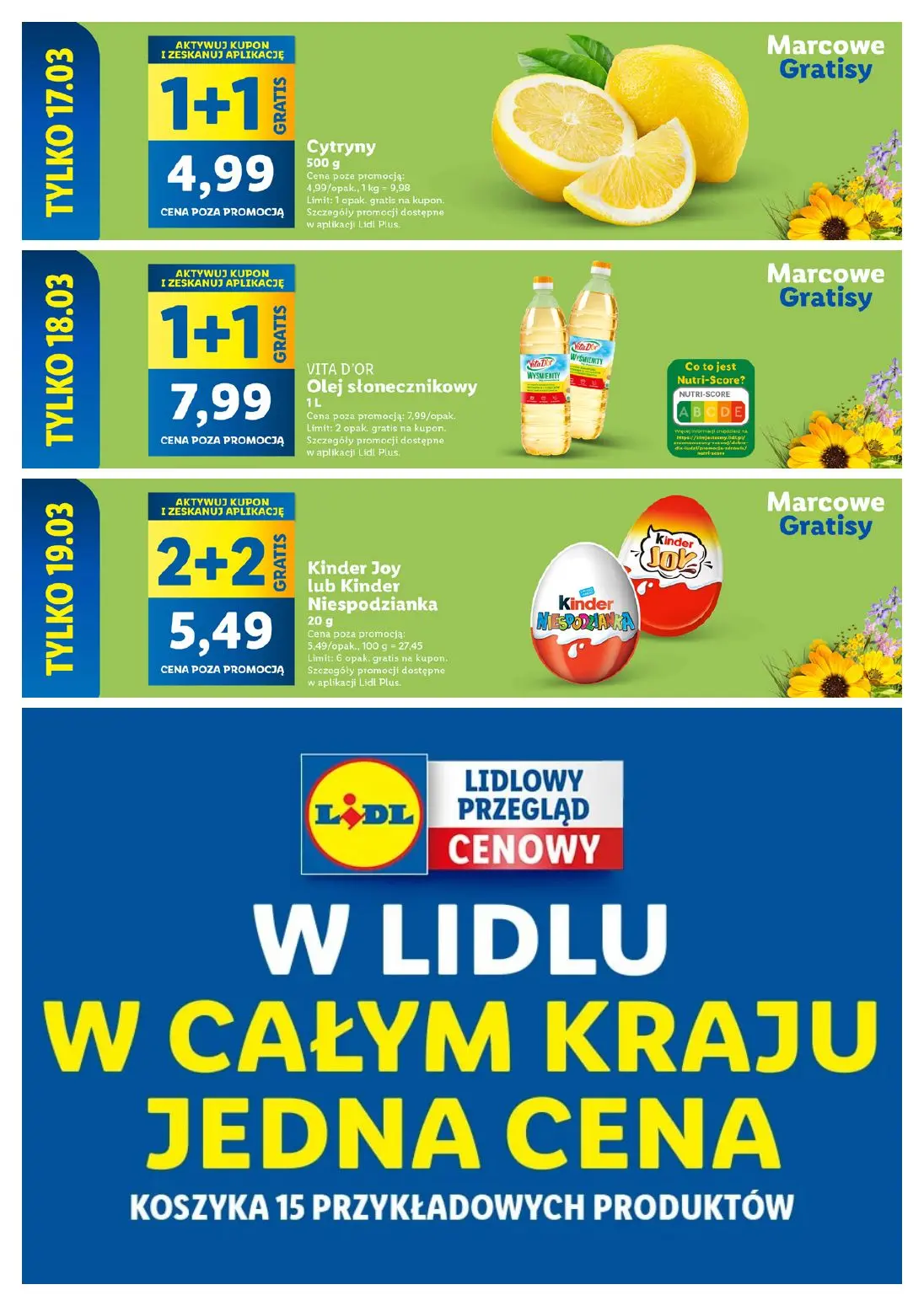 gazetka promocyjna LIDL Zakupy robię w Lidlu - Strona 13