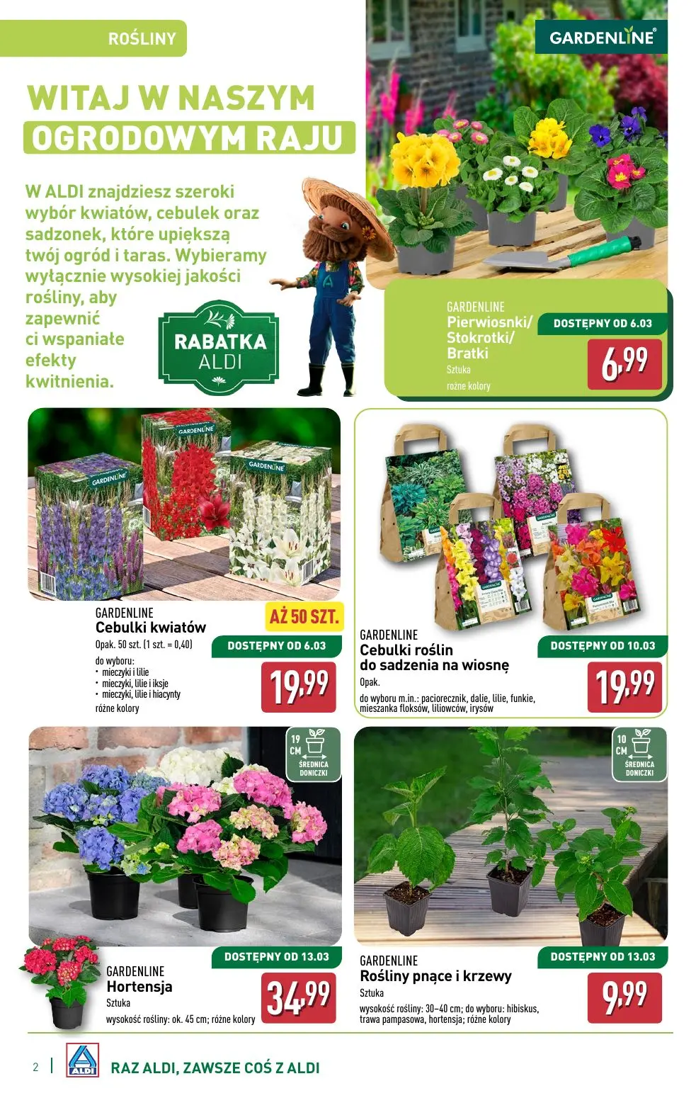 gazetka promocyjna ALDI  - Strona 2